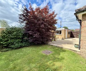 Photo 17- click for photo gallery